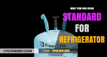 When Did R134a Become the Standard Refrigerant for Fridges?