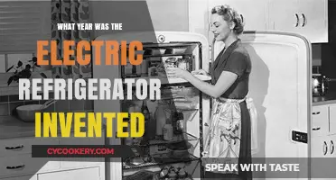 The Birth of the Electric Refrigerator: A Historical Overview