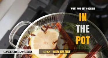 What's Simmering in Your Pot? Discover Delicious Recipes and Tips