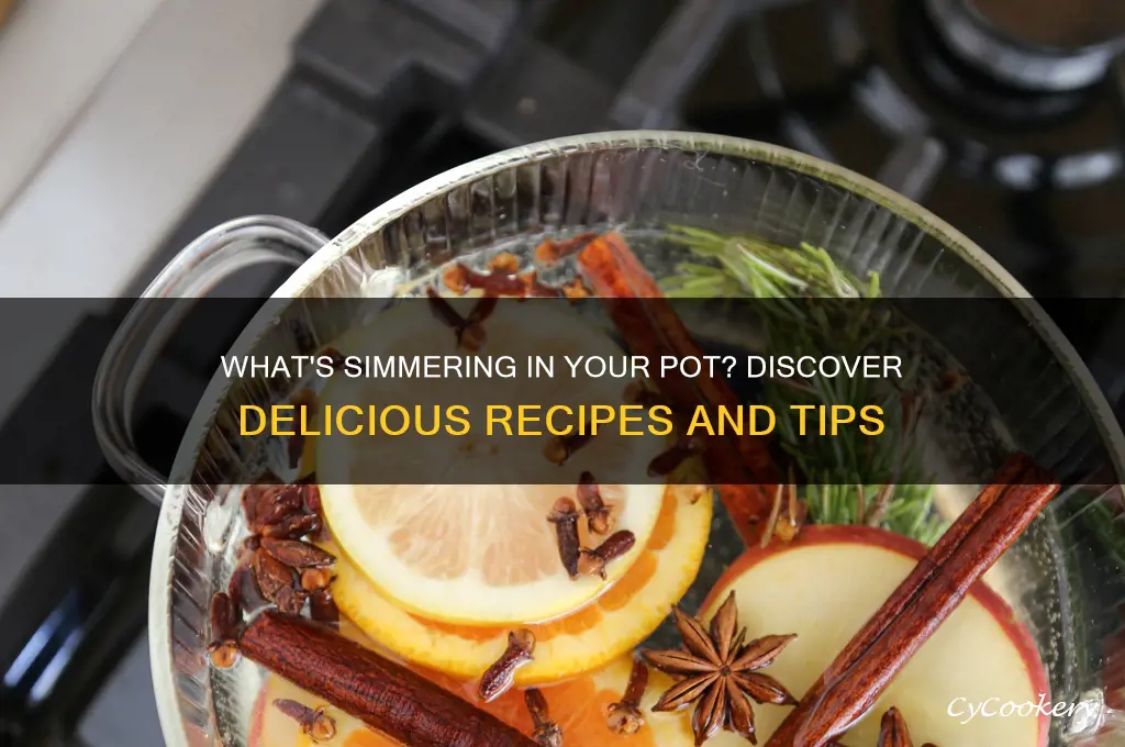 what you got cooking in the pot