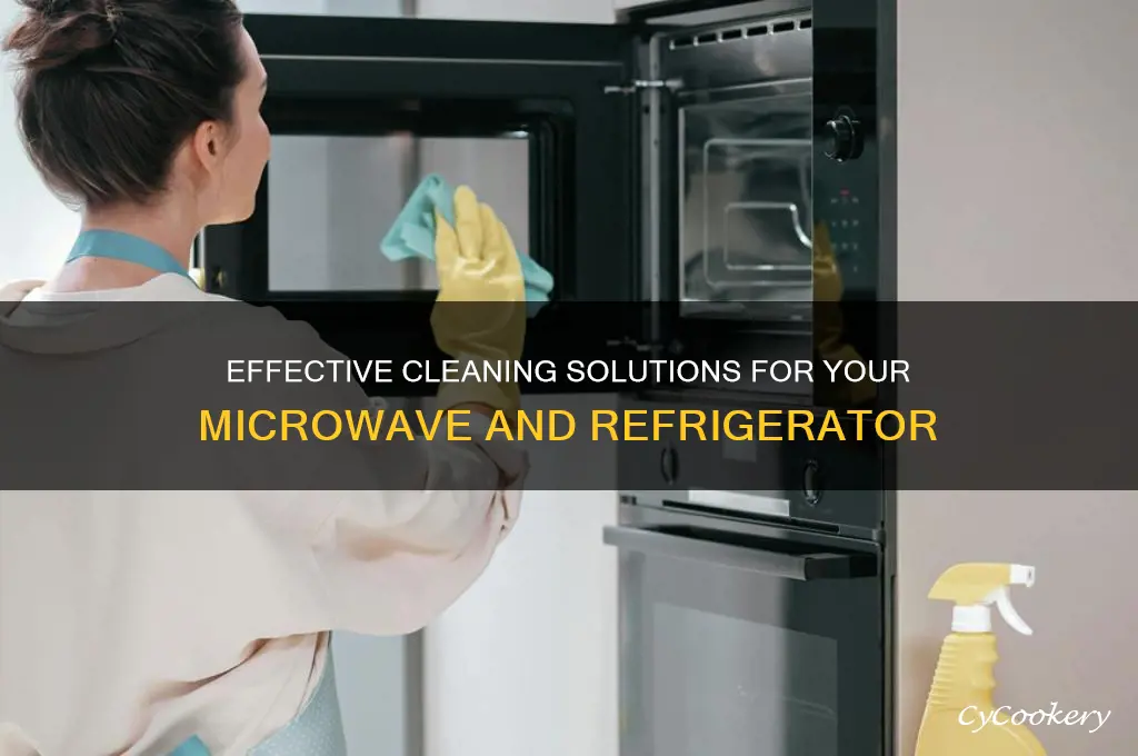 what you use to clean microwave refrigerator