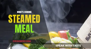 Steaming Hot: Exploring the Art of Steamed Meals