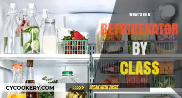 Exploring Refrigerator Contents: A Class-Based Breakdown of Common Items