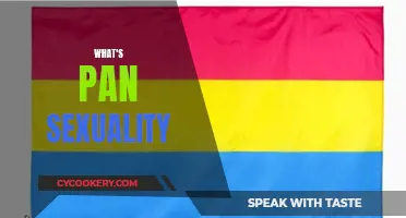 Understanding Pansexuality: Who They Are Attracted To