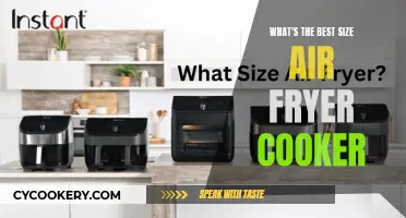 Air Fryer Cooker Sizes: What's the Ideal Capacity?