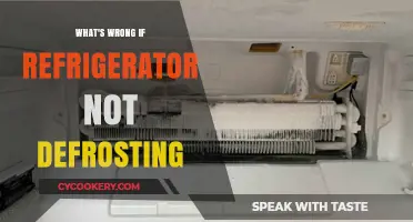 Refrigerator Not Defrosting? Common Causes and Quick Fixes Explained