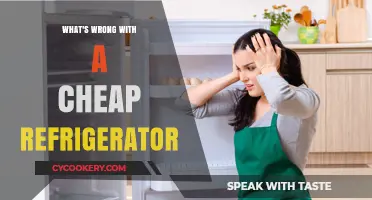 Cheap Refrigerators: Hidden Costs, Reliability Issues, and Long-Term Concerns
