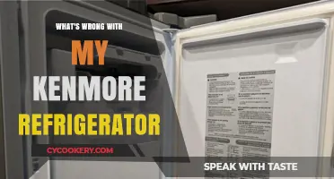 Troubleshooting Common Issues with Your Kenmore Refrigerator: Quick Fixes