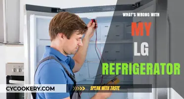 Troubleshooting LG Refrigerator Issues: Common Problems and Quick Fixes