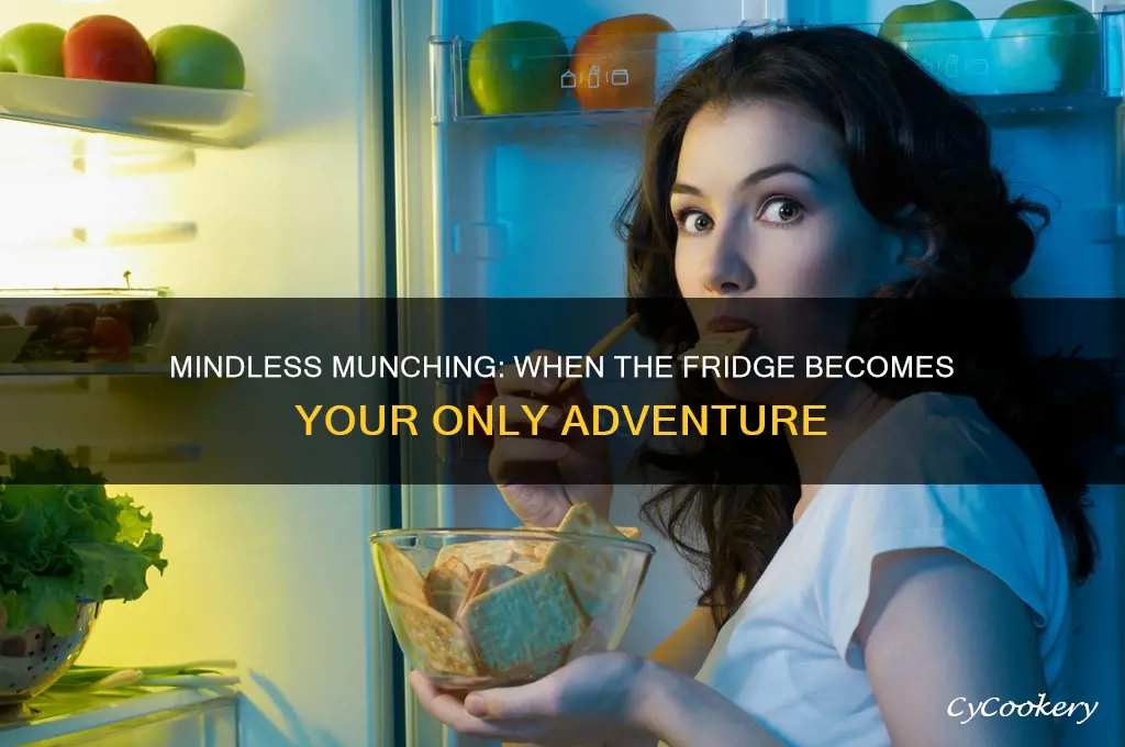 when all you explore is the refrigerator