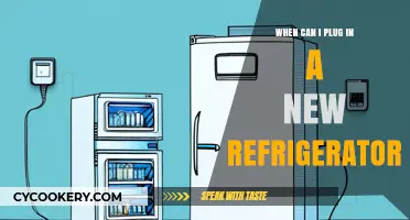 When to Safely Plug In Your New Refrigerator: A Guide