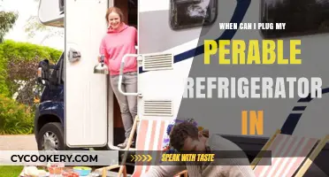 When to Safely Plug In Your Portable Refrigerator: A Guide