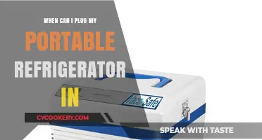 When to Safely Plug In Your Portable Refrigerator: A Guide