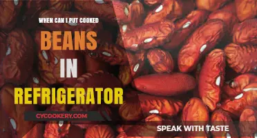 Storing Cooked Beans: Optimal Timing for Refrigeration Explained