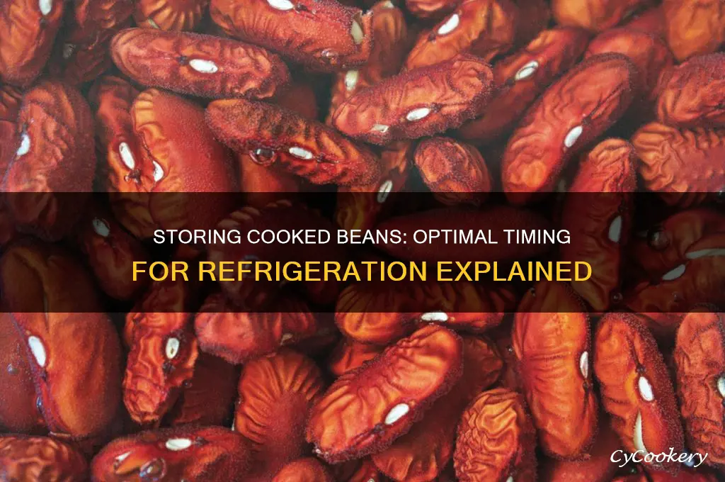 when can i put cooked beans in refrigerator