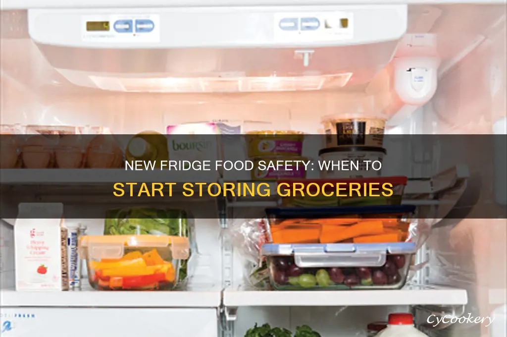 when can i put food in a new refrigerator