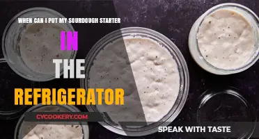 When to Refrigerate Sourdough Starter: A Complete Guide
