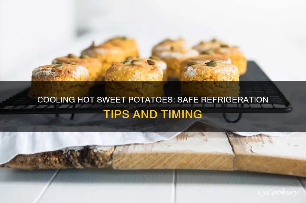 when can i refrigerate hot sweet potatos