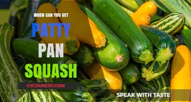 Summer Harvest: Patty Pan Squash Season