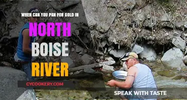 Best Times for Gold Panning in Boise's North River