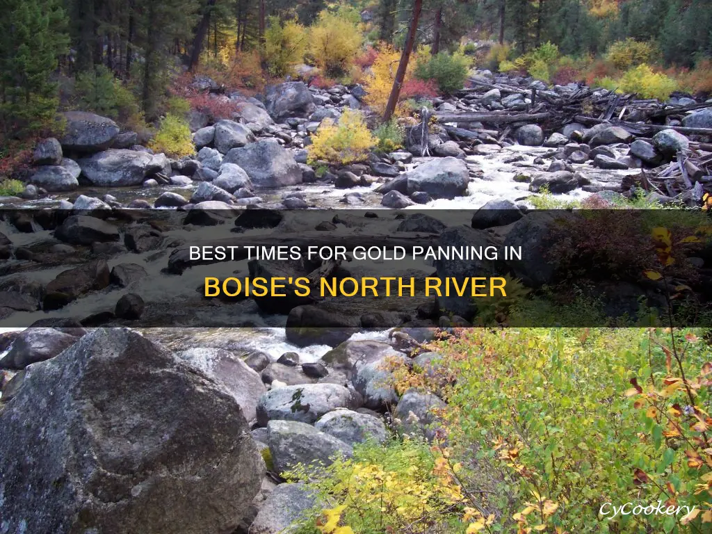 when can you pan for gold in north boise river