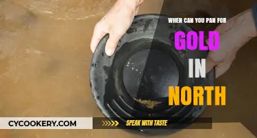 Panning for Gold: Best Times in the North
