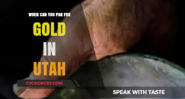 Gold Panning in Utah: Best Seasons to Try Your Luck