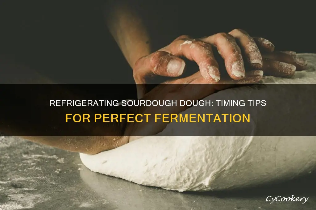 when can you refrigerate sourdough dough