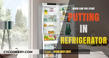 When Can You Start Using Your Refrigerator After Installation?