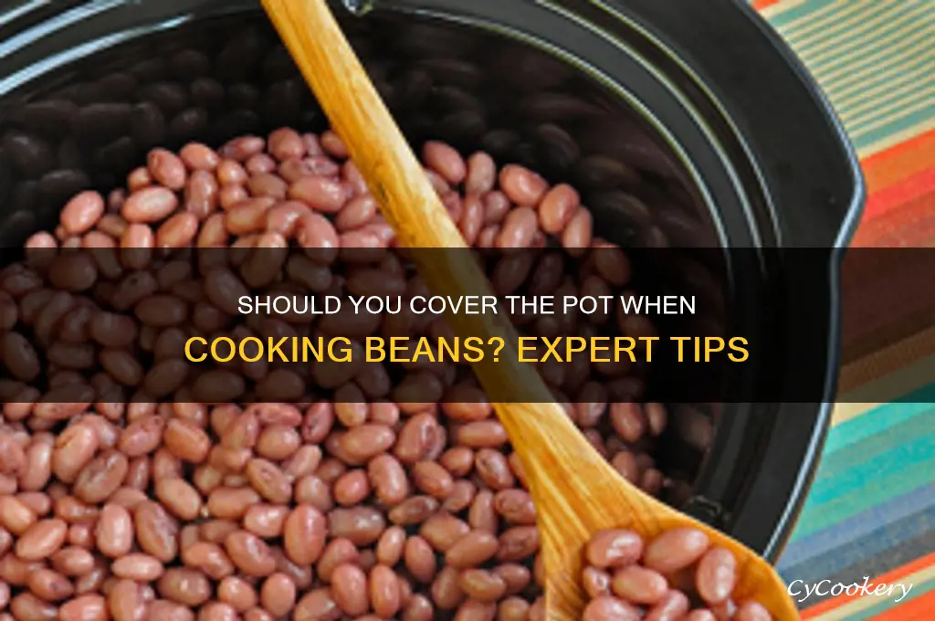 when cooking beans do you cover the pot