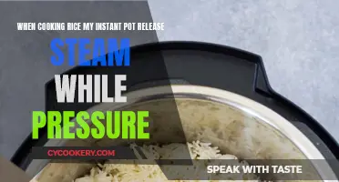 Why Does My Instant Pot Release Steam While Cooking Rice?