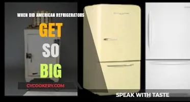 The Evolution of Oversized American Refrigerators: A Historical Perspective