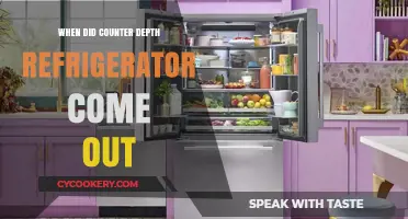 The Evolution of Counter Depth Refrigerators: A Historical Overview