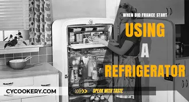 France's Refrigeration Revolution: A Historical Look at Cooling Technology