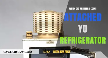 The Evolution of Refrigerators: When Freezers Became a Standard Feature