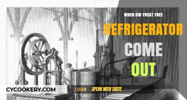 The Evolution of Frost-Free Refrigerators: A Historical Overview