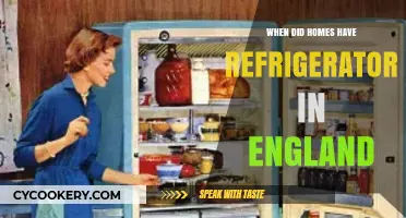 The Chilling Evolution: When Refrigerators Became Common in English Homes
