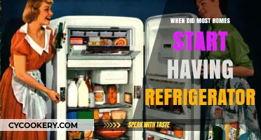 The Chilling Evolution: When Refrigerators Became a Household Staple