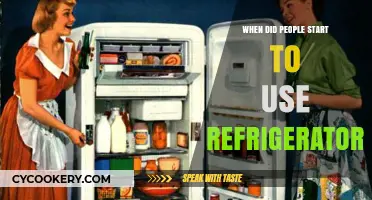 The Evolution of Refrigeration: When Households Started Using Fridges