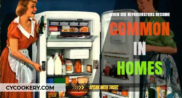 When Refrigerators Became a Household Staple: A Historical Overview
