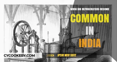 The Rise of Refrigerators in Indian Households: A Historical Overview