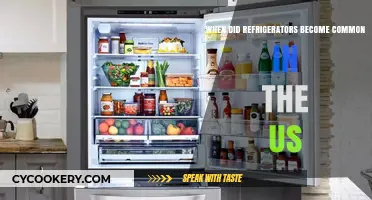 The Rise of Refrigerators: When Did They Become Common in US Homes?