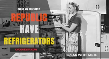 Czech Republic's Refrigeration Revolution: A Historical Timeline of Cooling