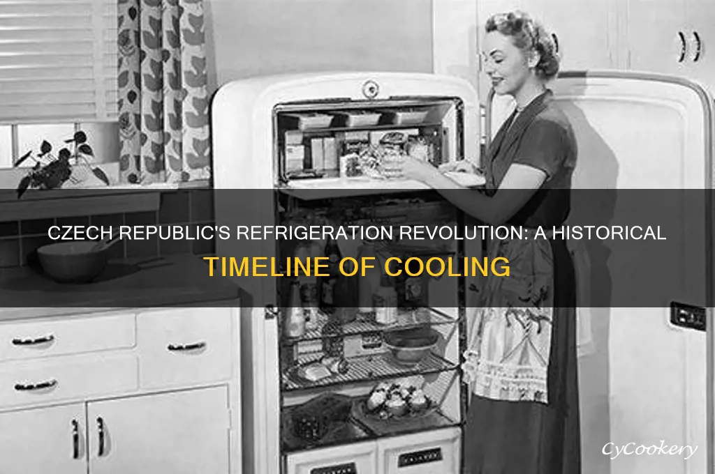 when did the czech republic have refrigerators