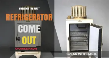 The Birth of Refrigeration: When Did the First Fridge Debut?