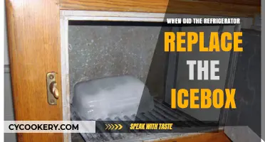From Icebox to Refrigerator: The Evolution of Food Preservation