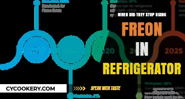 The End of Freon: When Refrigerators Switched to Eco-Friendly Coolants