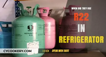 The Era of R22 Refrigerant in Refrigerators: A Historical Overview