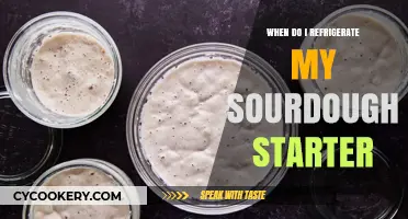 Sourdough Starter Care: When to Refrigerate for Optimal Results