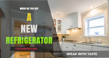 Signs It's Time to Upgrade Your Refrigerator: A Buying Guide